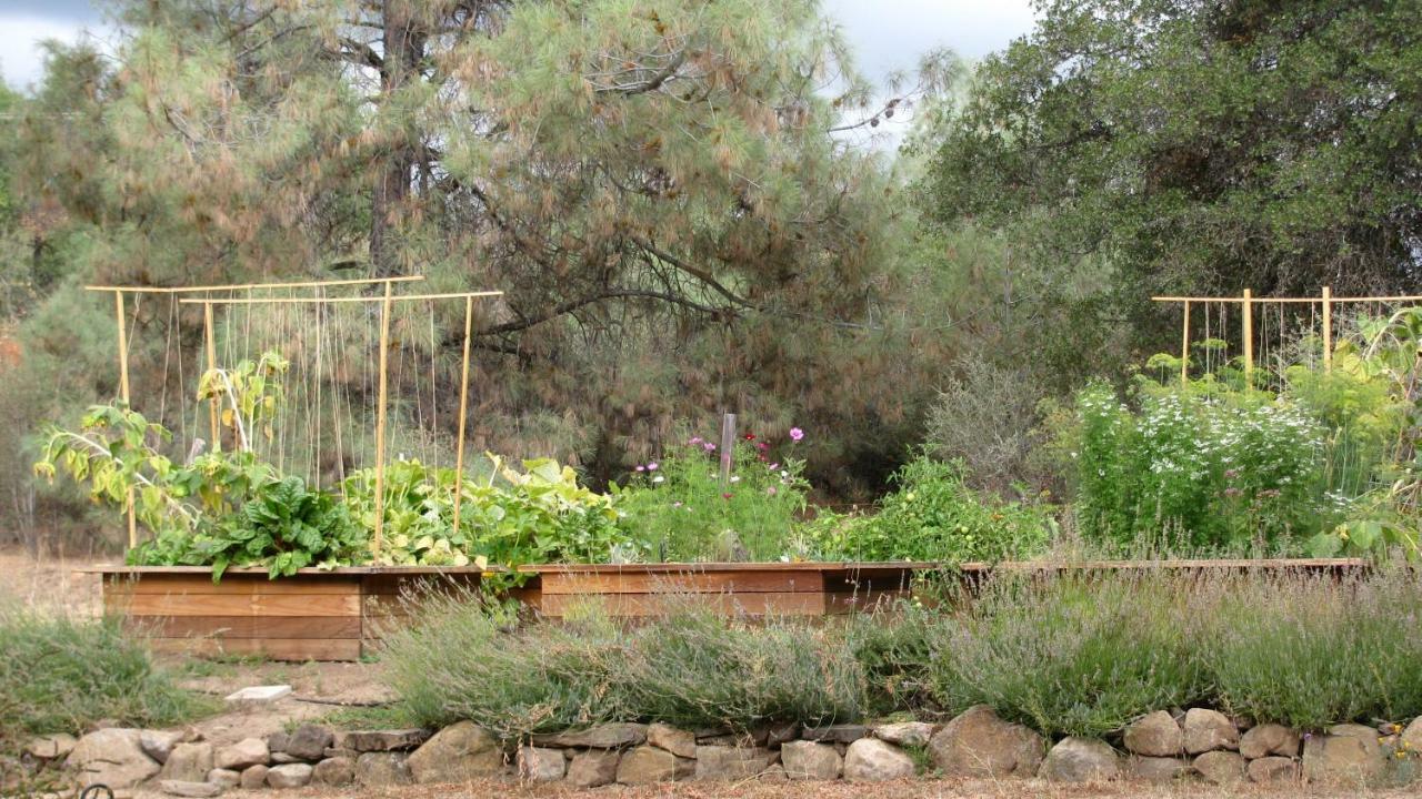 Yosemite Rose Bed And Breakfast Groveland Extérieur photo